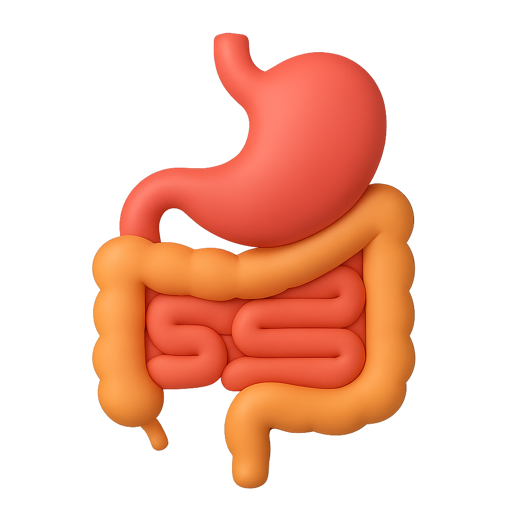 Gastroenterologist