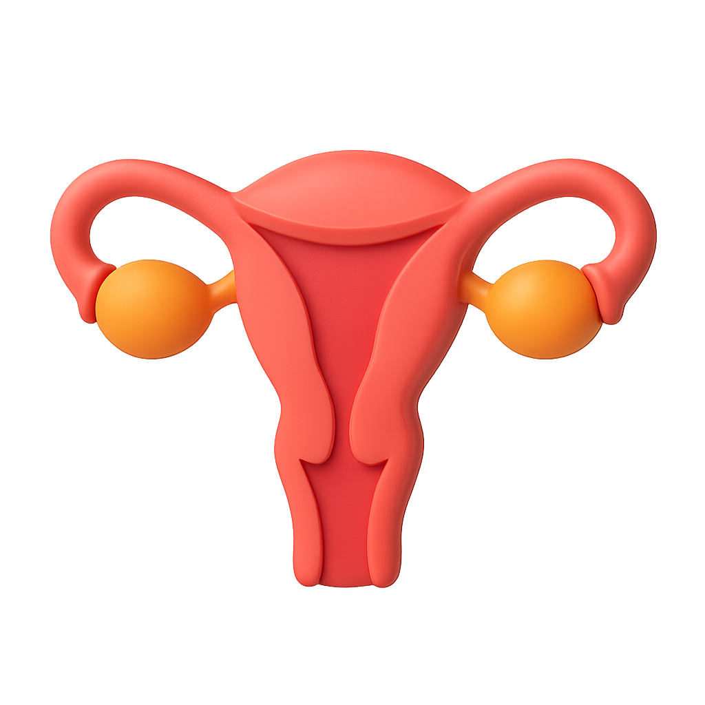 Gynecologist