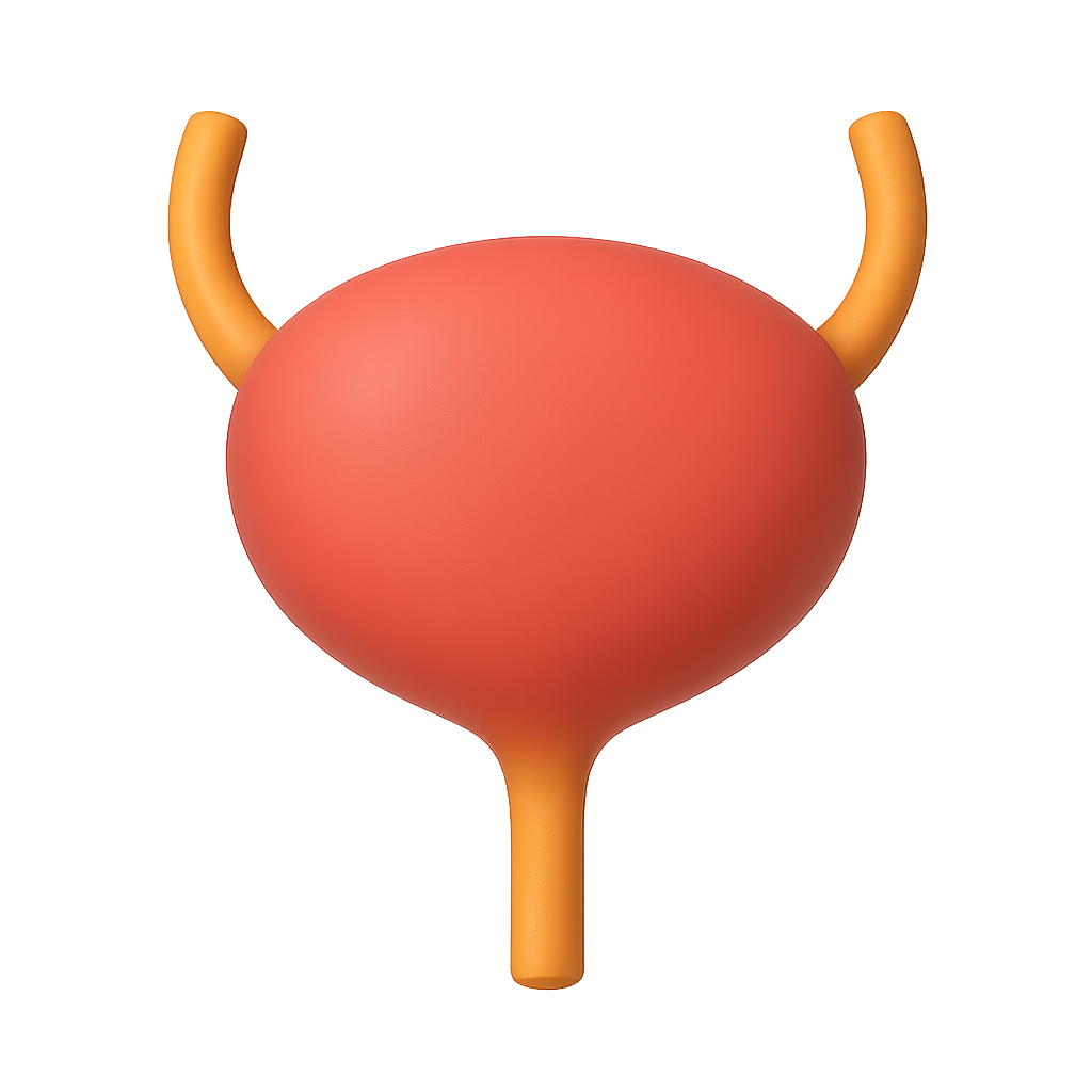 Urologist